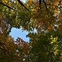 Josefovské údolí...pestrobarevná podzimní stříška